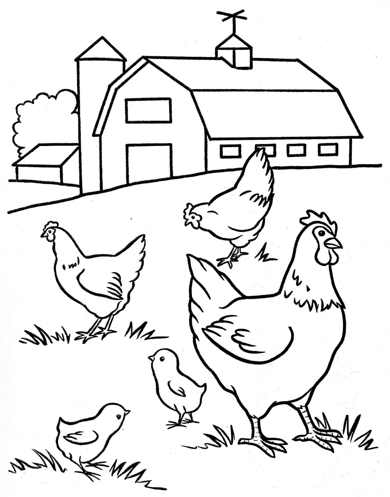Дом домашние птицы. Курица раскраска для детей. Домашние птицы. Раскраска. Домашние птицы раскраска для детей. Раскраска птичий двор.