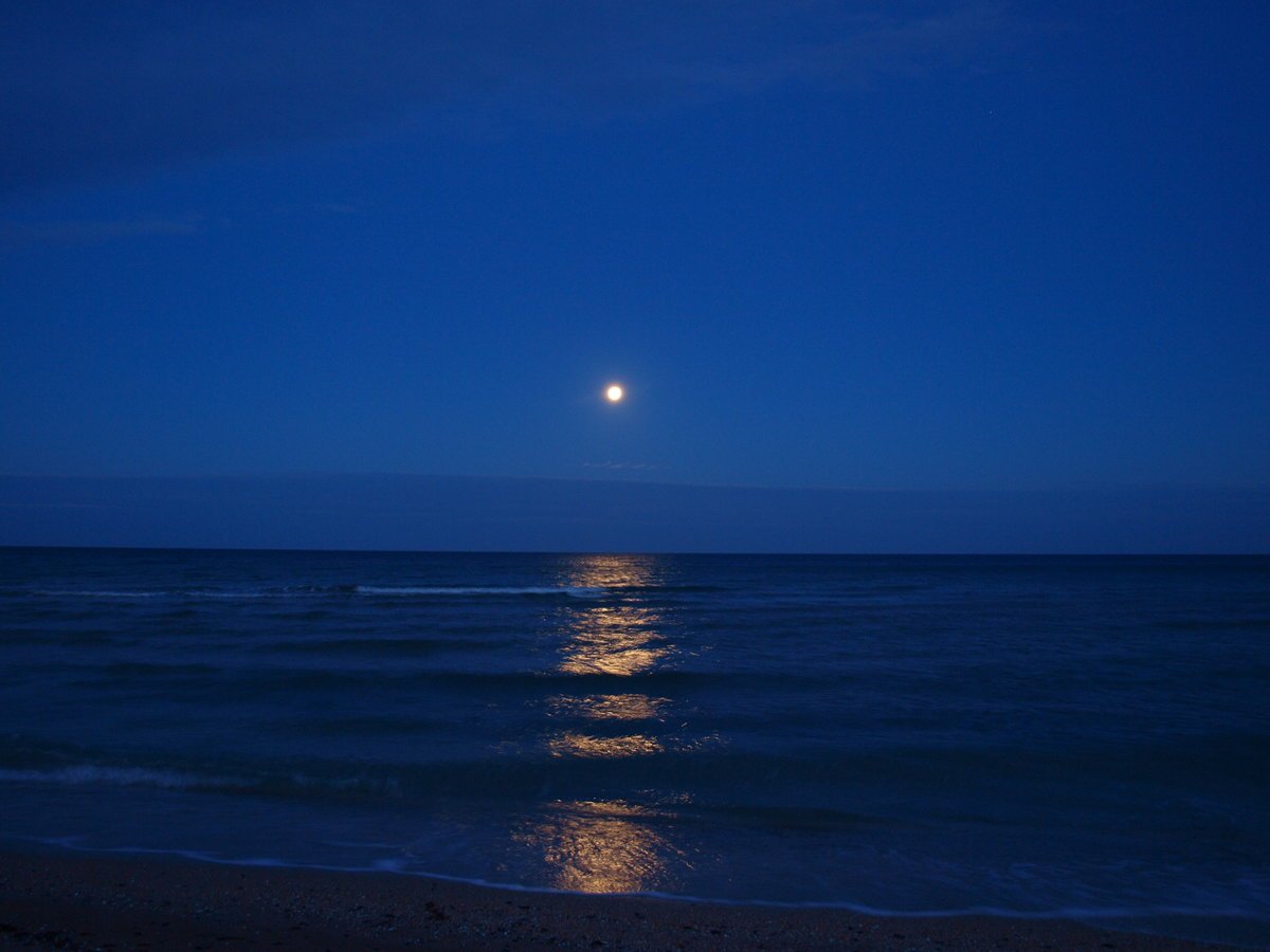 Ночь в море