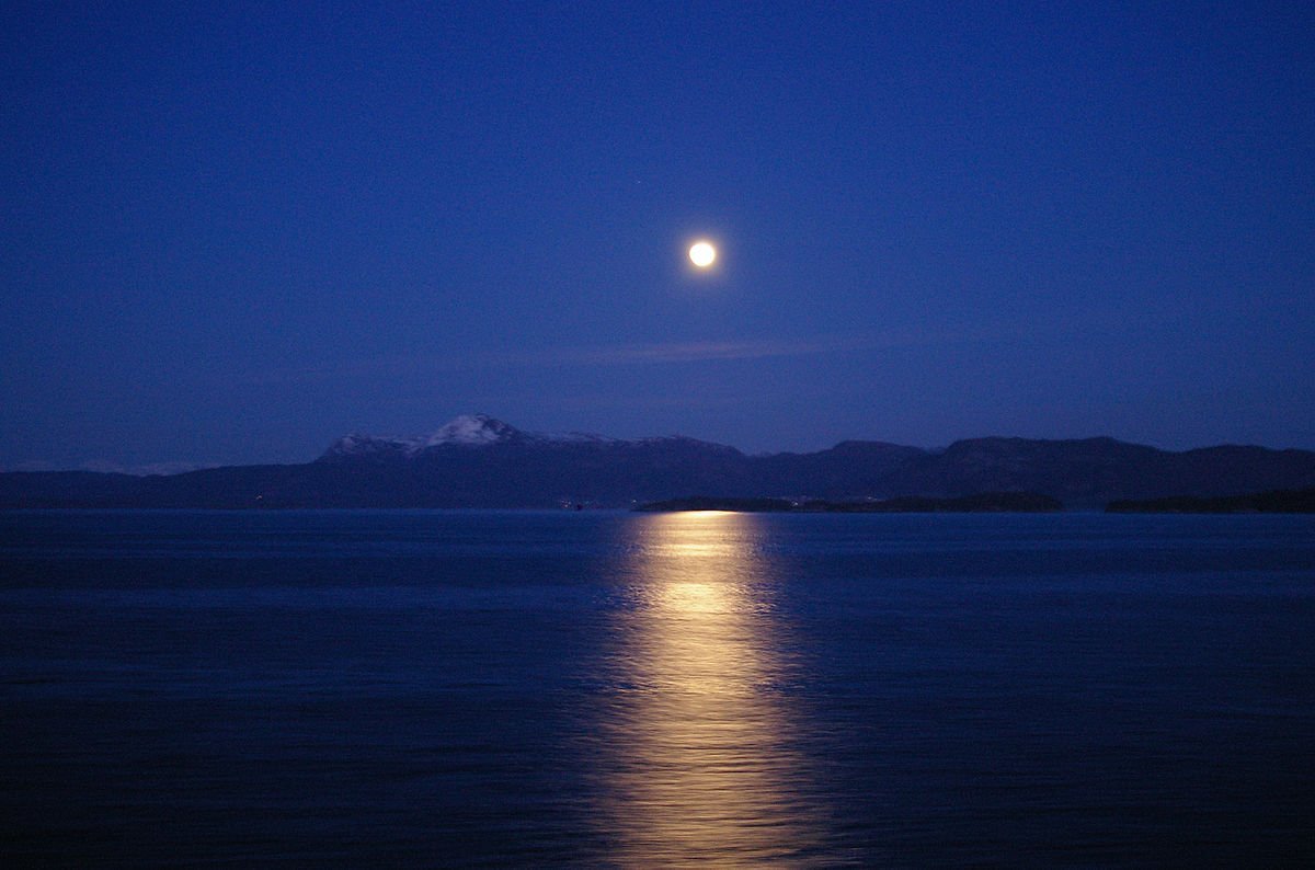 Золотистая Лунная дорожка