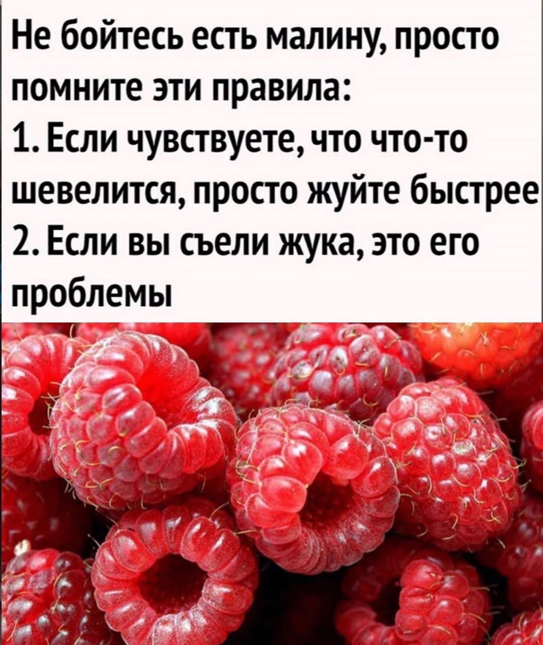 Высказывание про малину