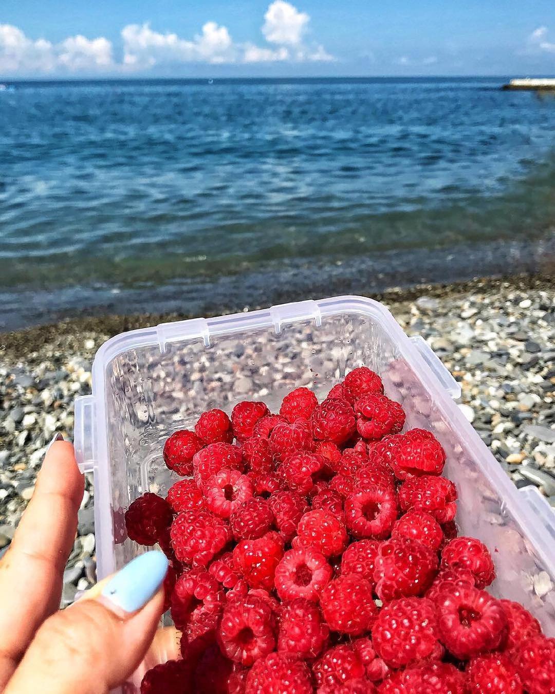 Вывеска малина