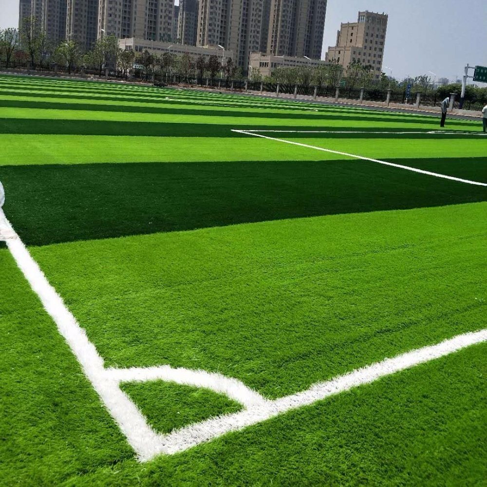 Дюссельдорфский парк поле футбольное