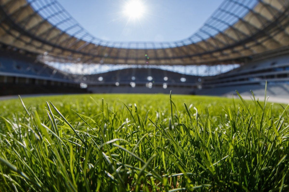 Стадион Волгоград Арена газон