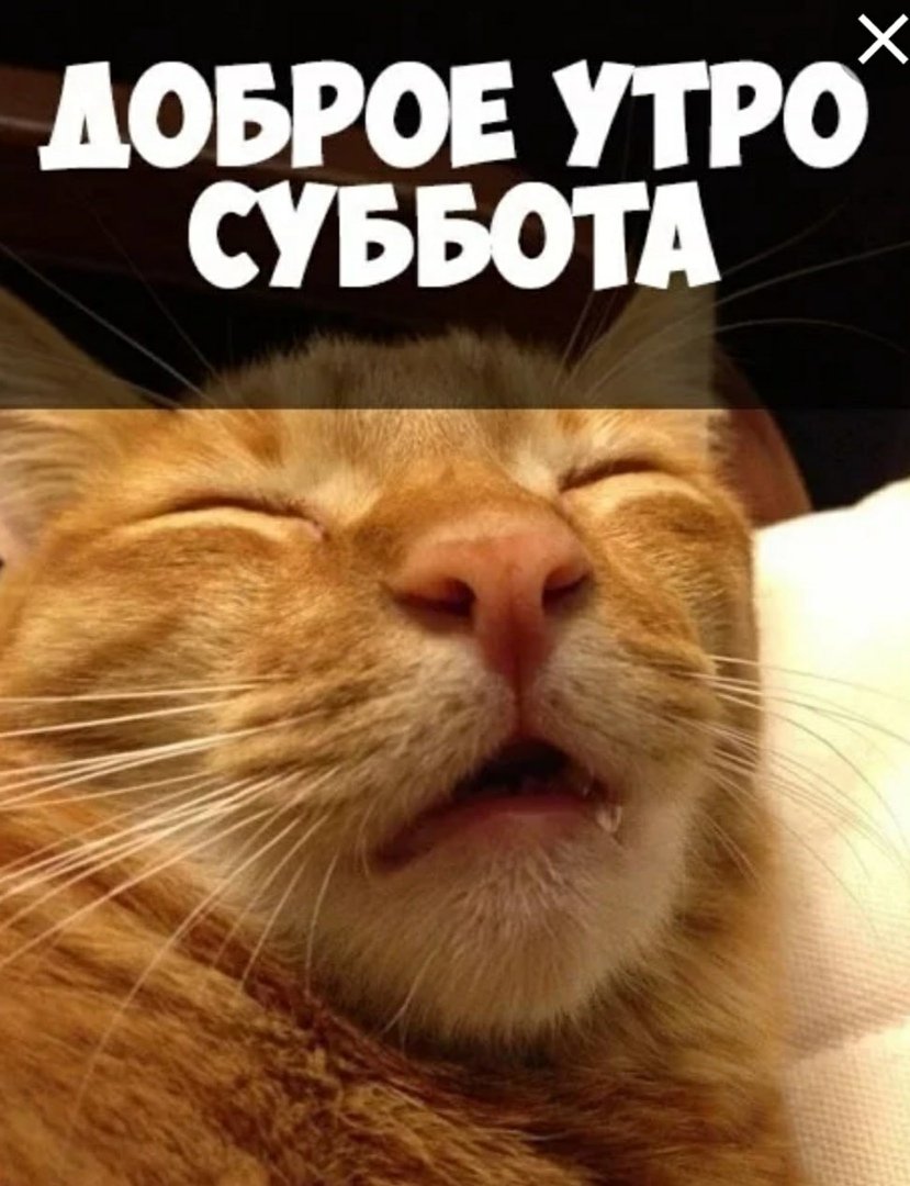 Доброе субботнее утро