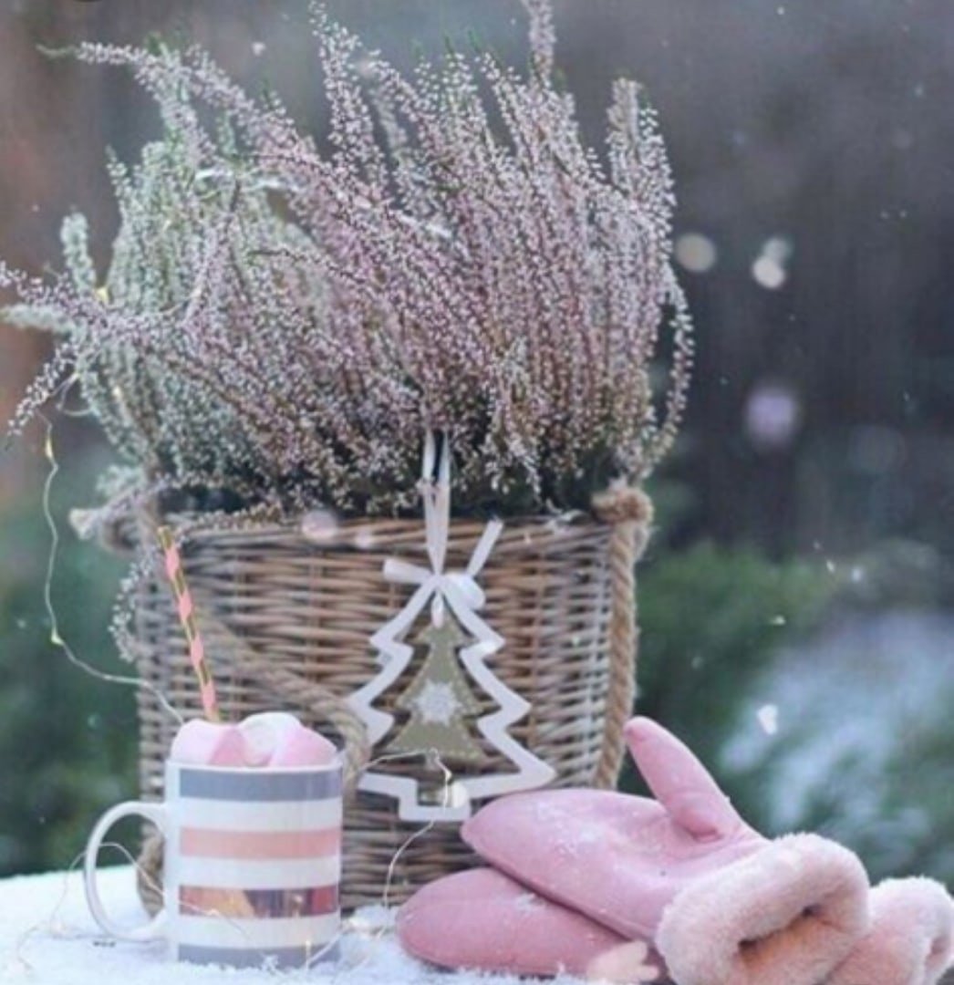 Тысяча причин для радости