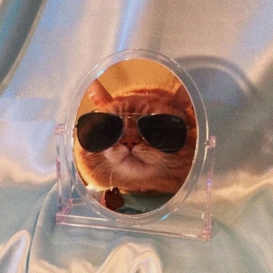 Прикольная Эстетика