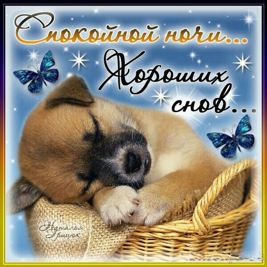 Спящий щенок