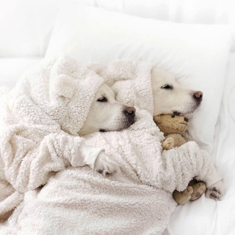 Спокойной пятничной ночи