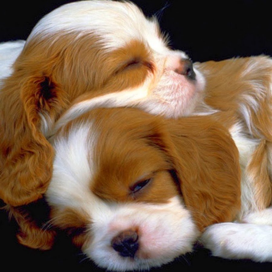 Утро выходного дня