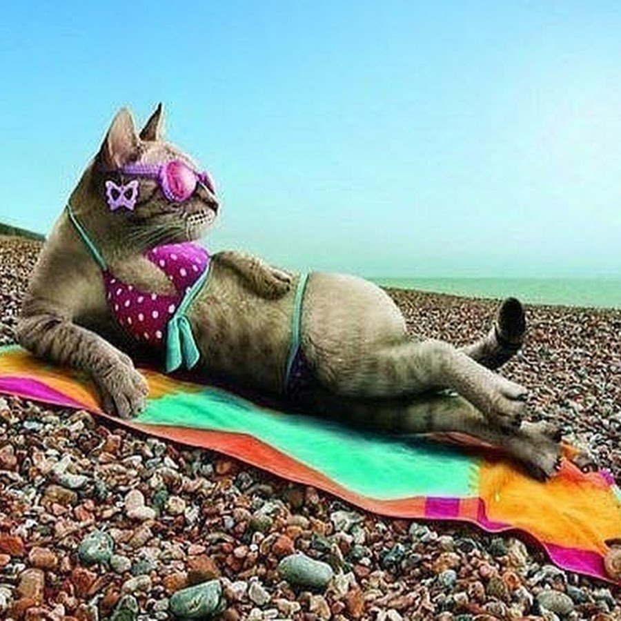 Перейди на Федота