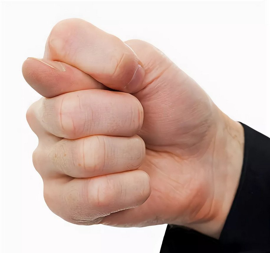 Кулак единства