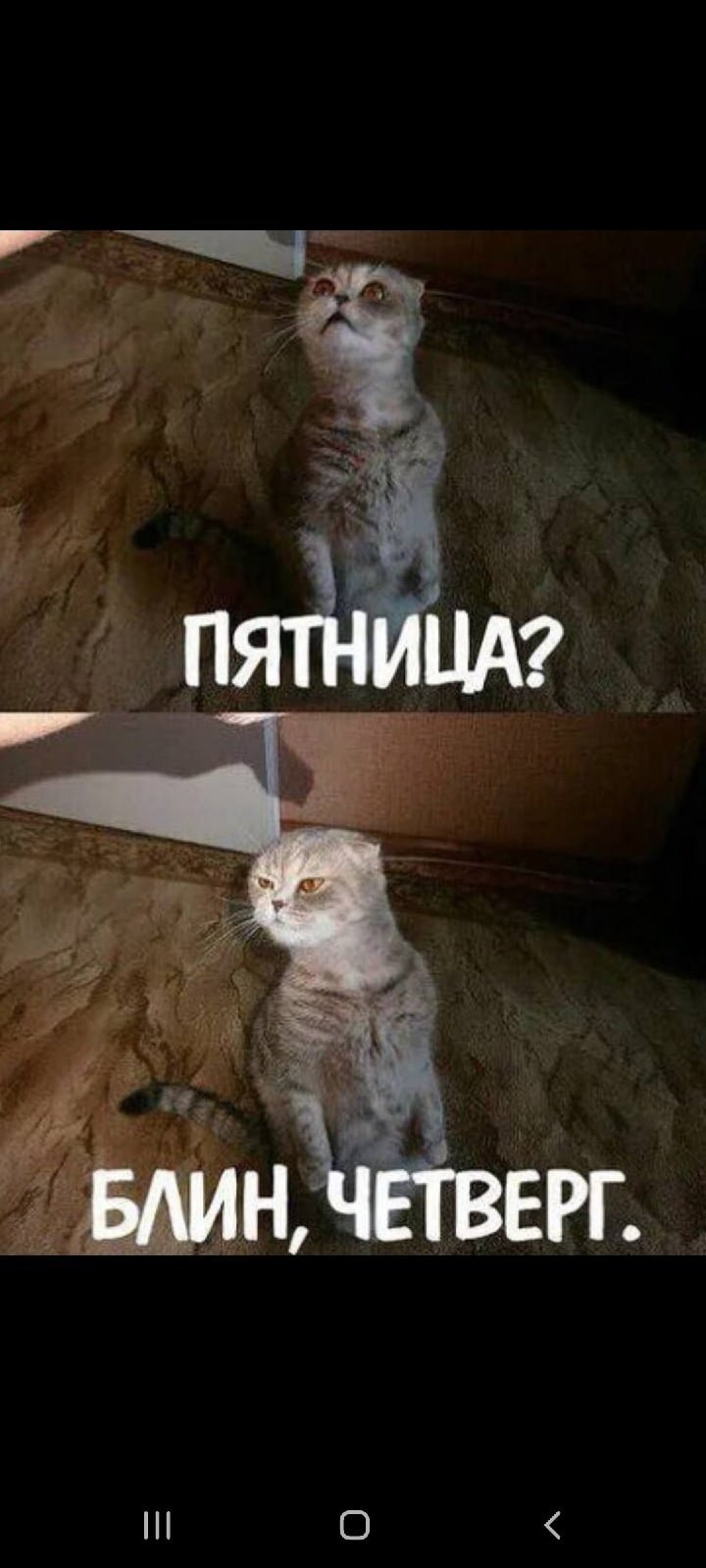 Жду пятницу