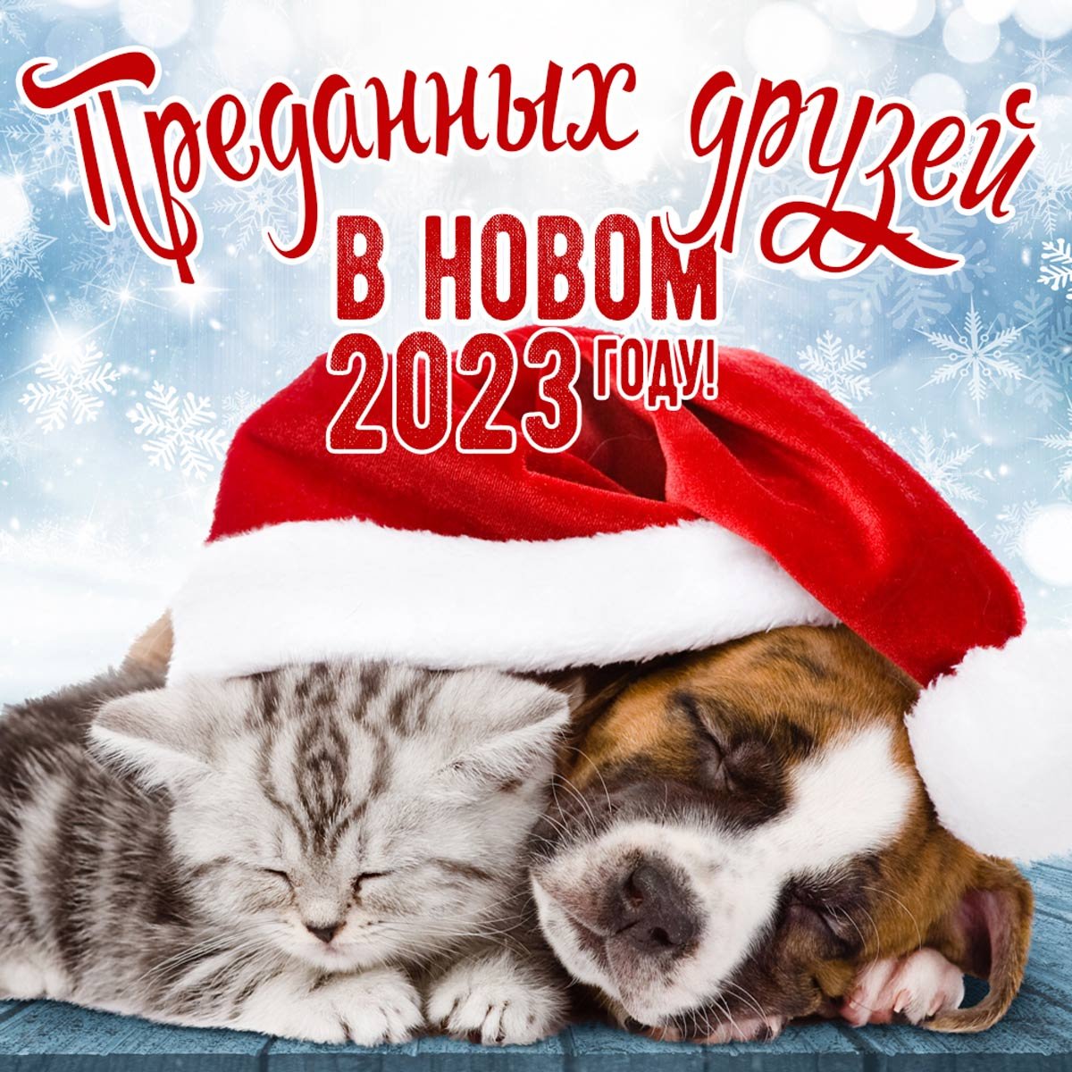 С новым годом верных друзей