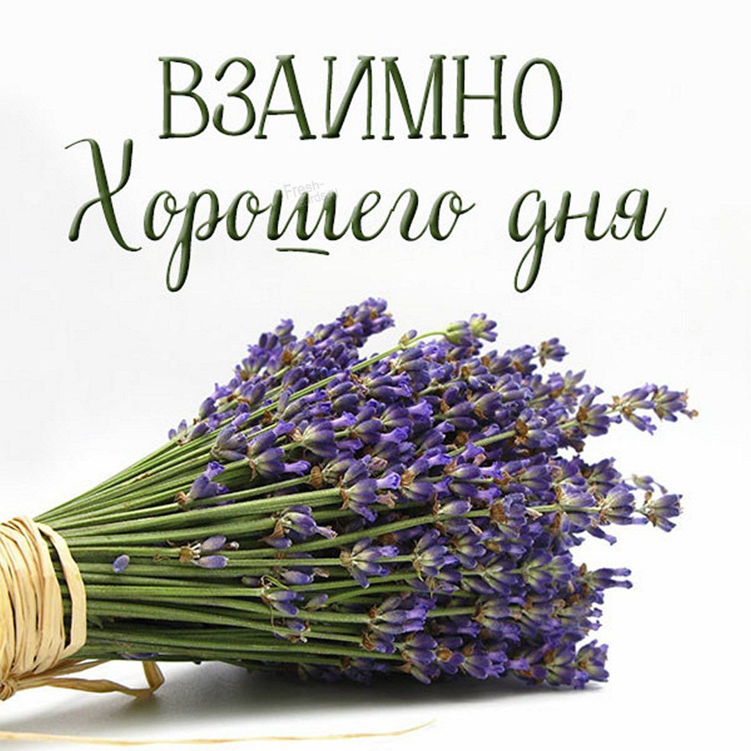 Открытка взаимно