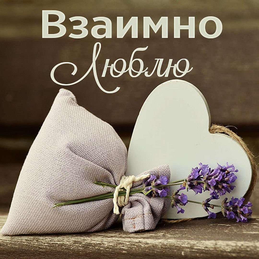 Благодарю за поздравления