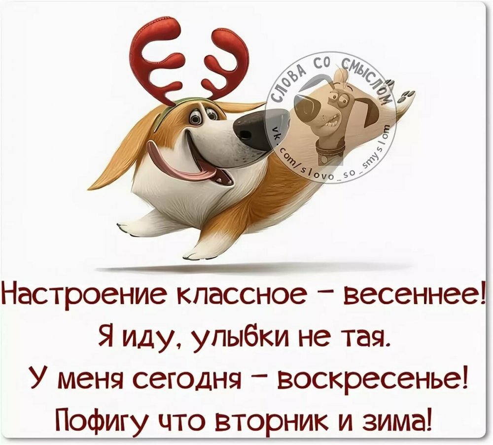 Прикольные фразы для поднятия настроения