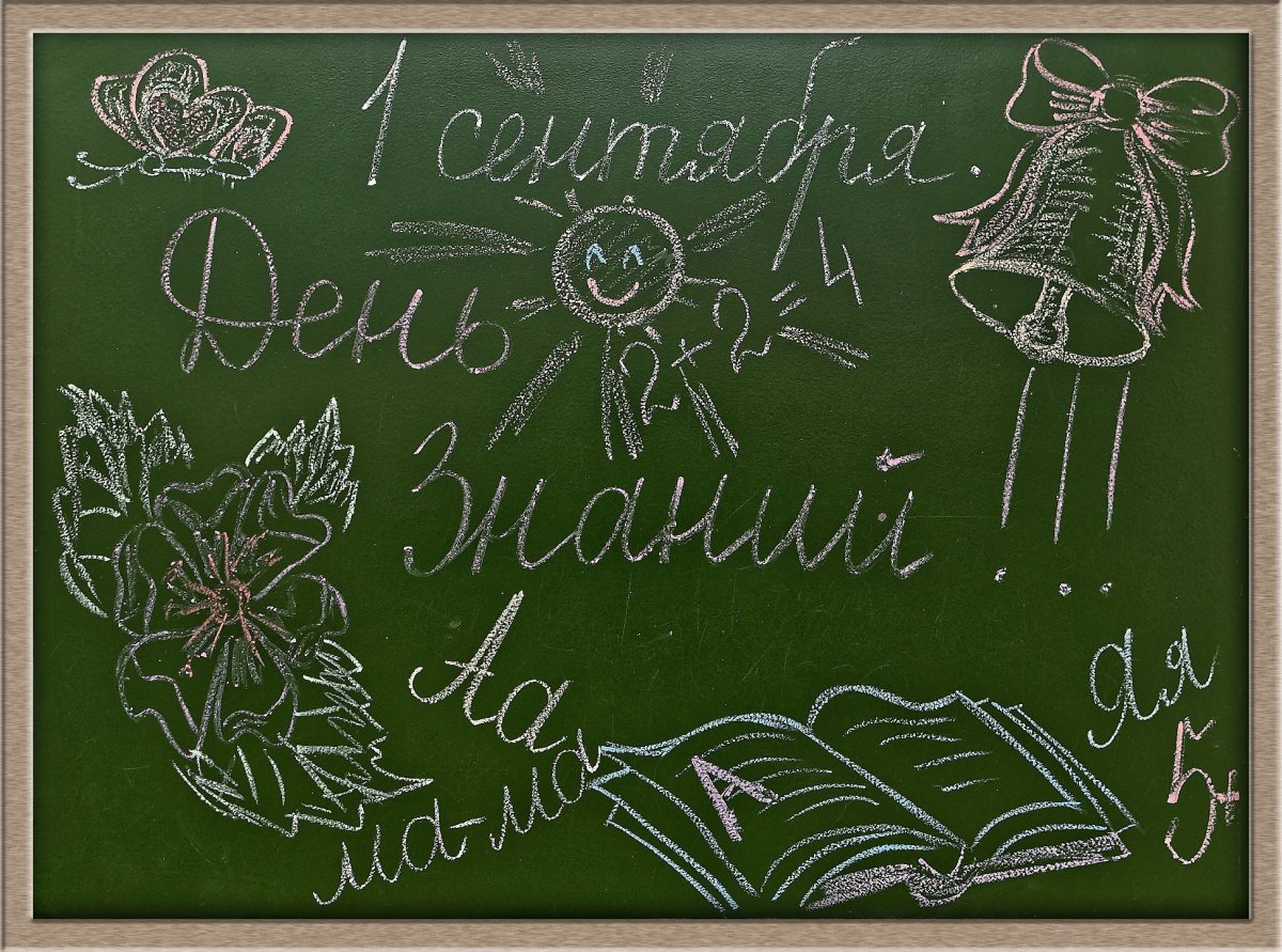 Подготовка к школе приколы