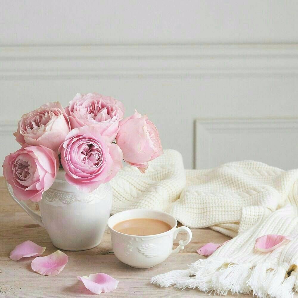 Утренняя нежность