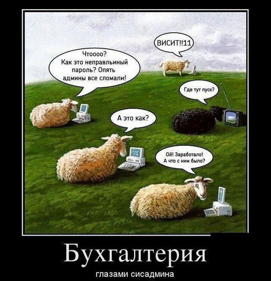 Кот бухгалтер