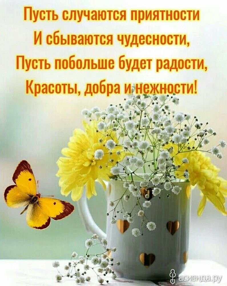 С добрым утром пожелания философские