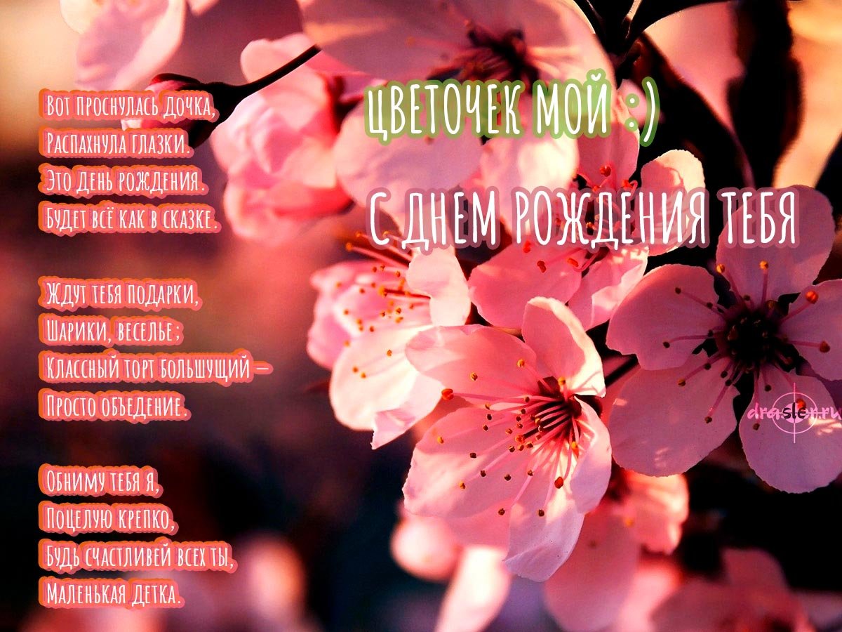 С днем рождения взрослой дочери