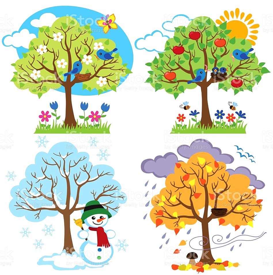 Дерево зима Весна лето осень