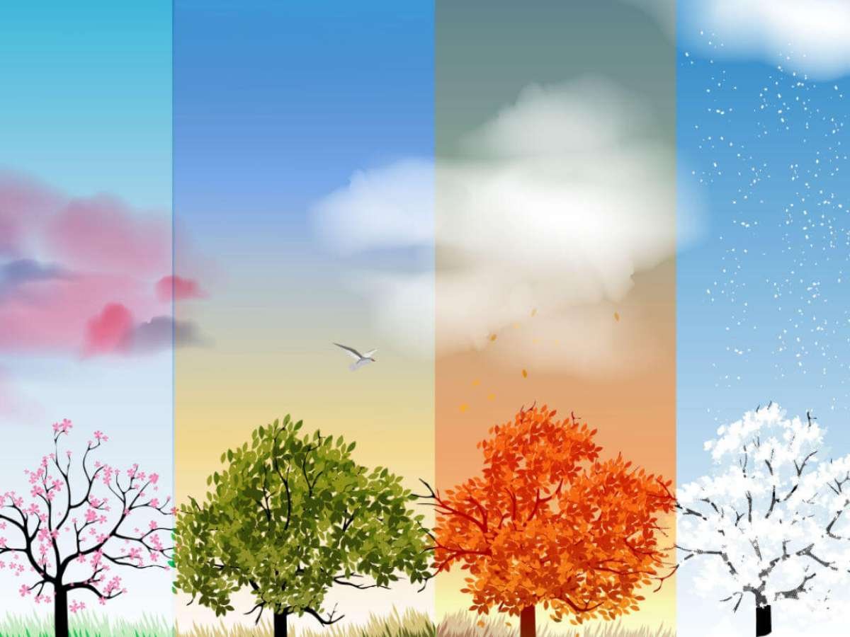 Пейзаж по временам года