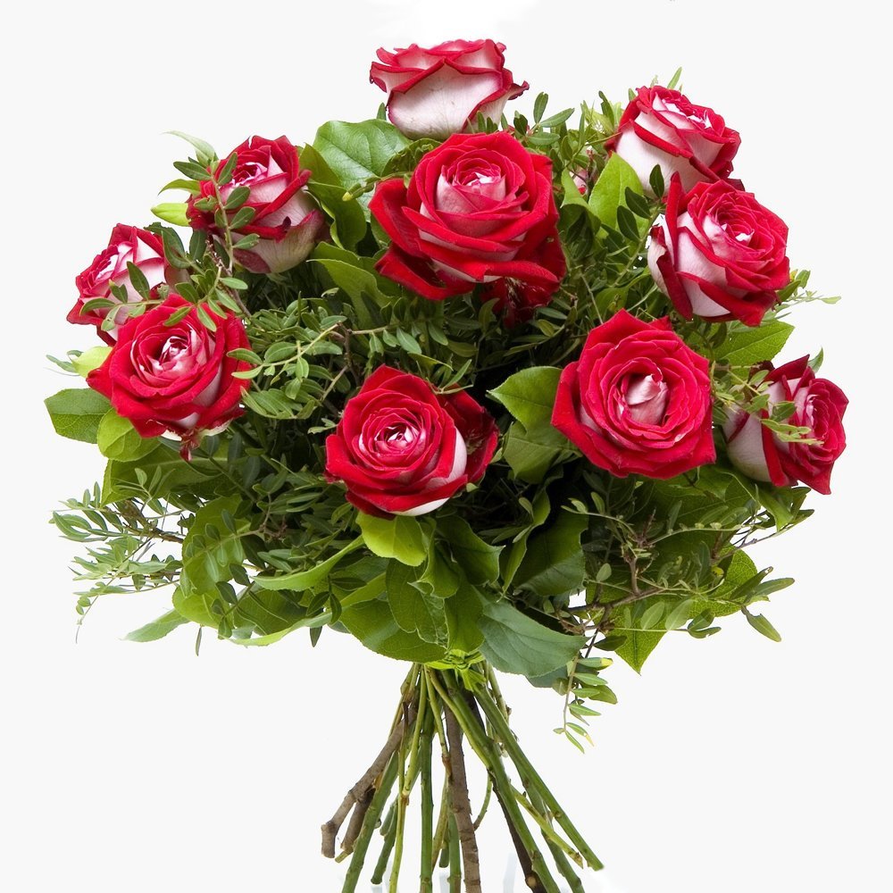 Поздравления с днём рождения