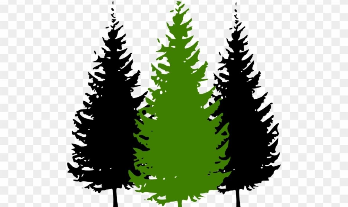 Елка на белом фоне