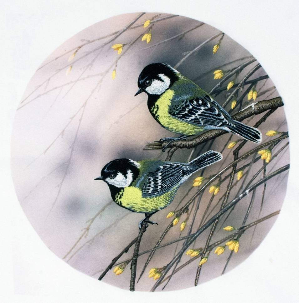 Синица лазоревка