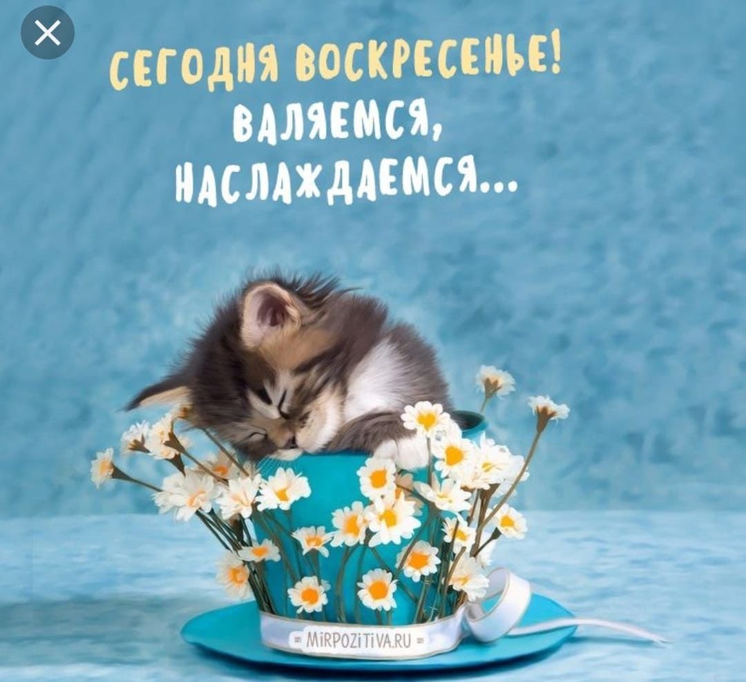 Доброе Воскресное у РО