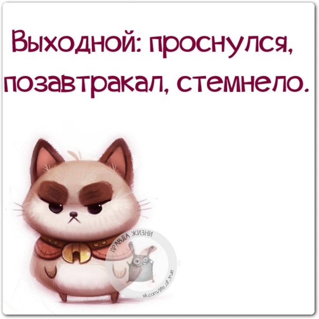 Открытки с добрым утром воскресенья прикольные