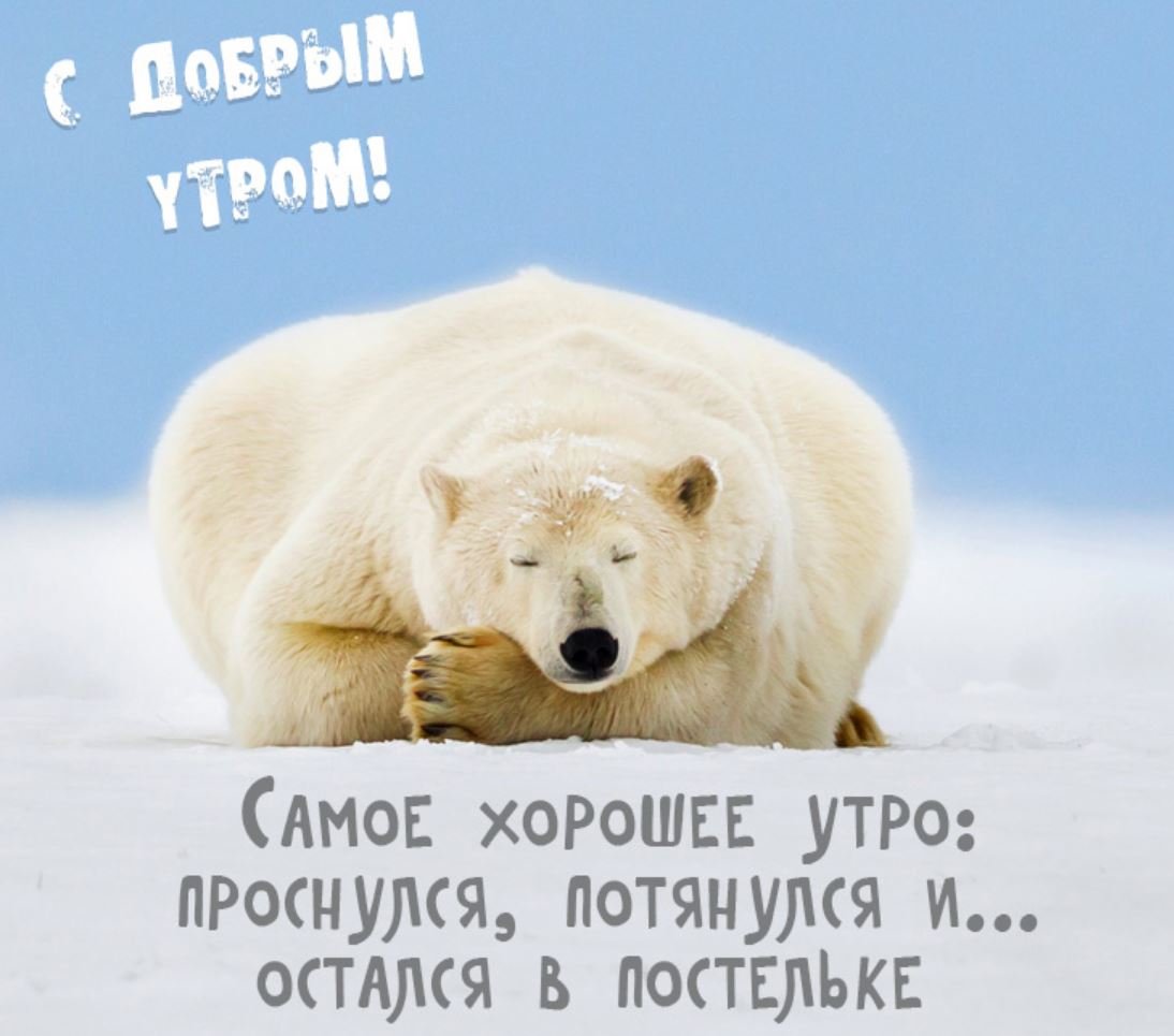 Доброе утро картинки с юмором воскресенье
