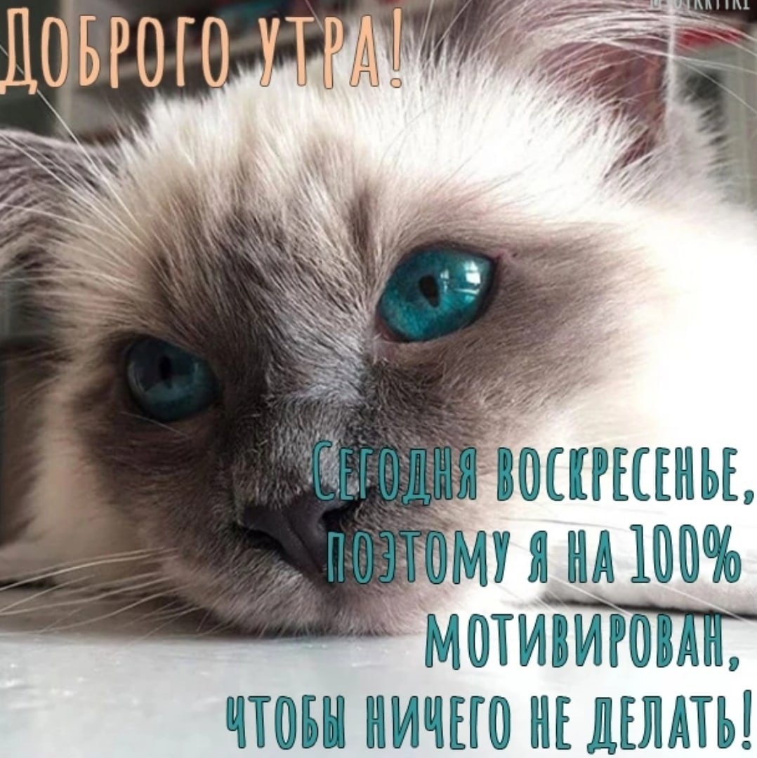 Шутки про воскресенье