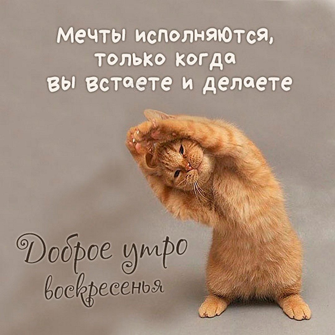 Добро утро воскресенье