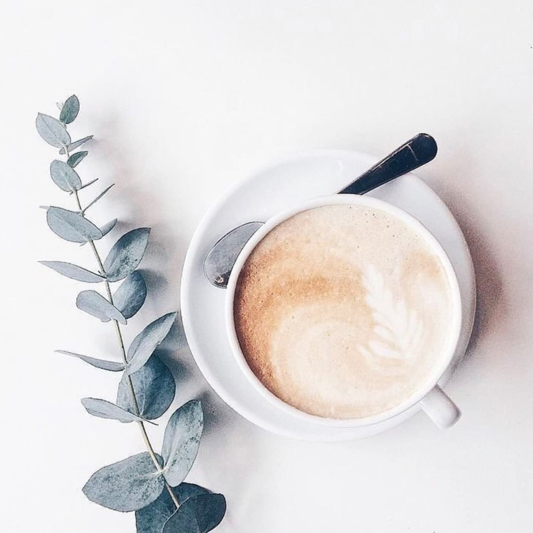 Доброе утро вторника