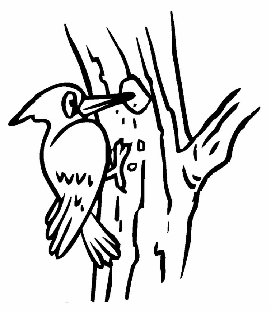 Дятел Векторная иллюстрация