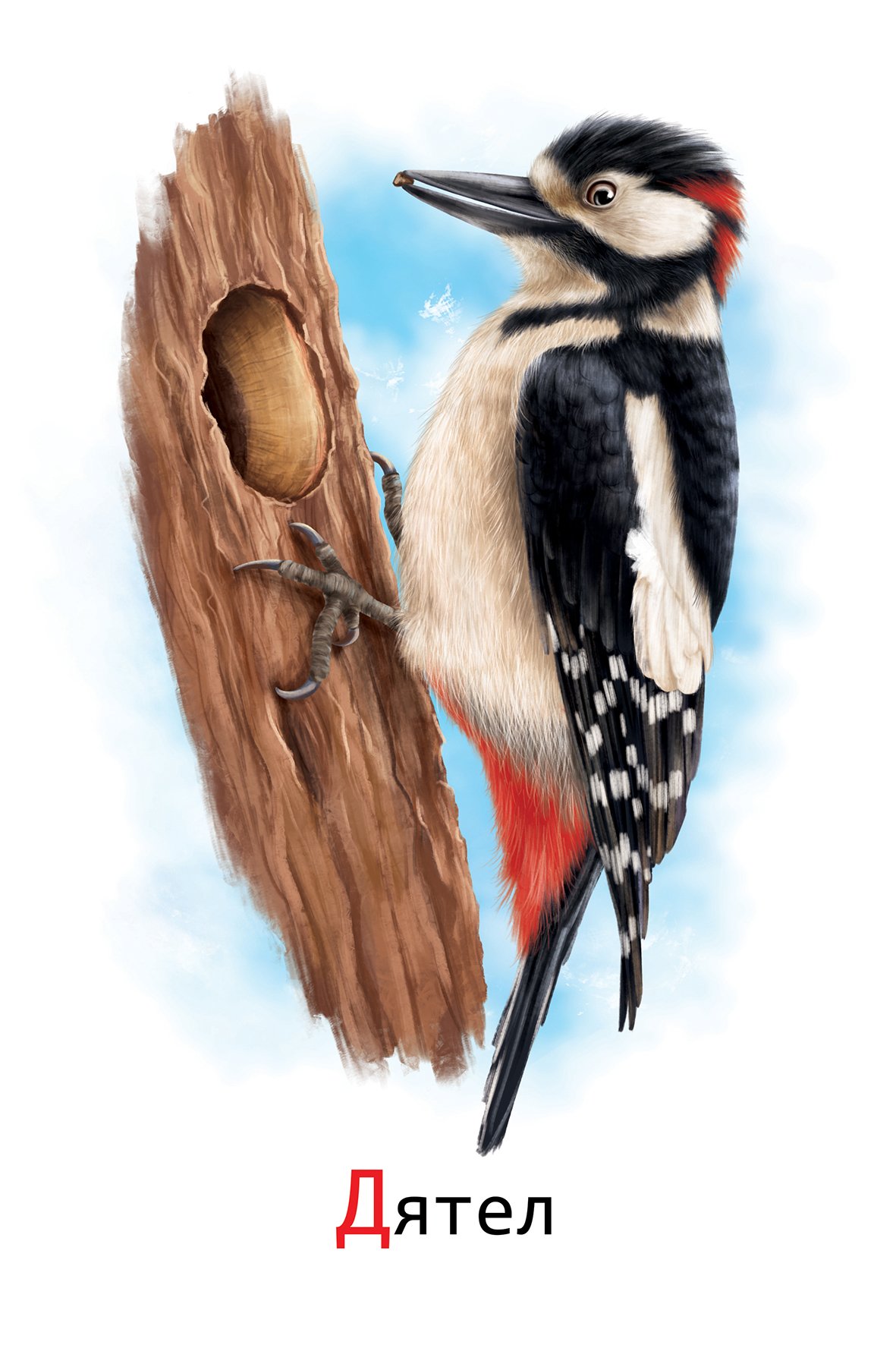 Базиль Эде художник птицы дятел