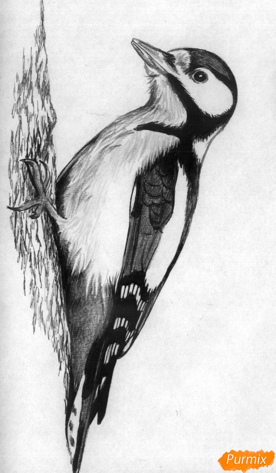 Дятел мультяшка