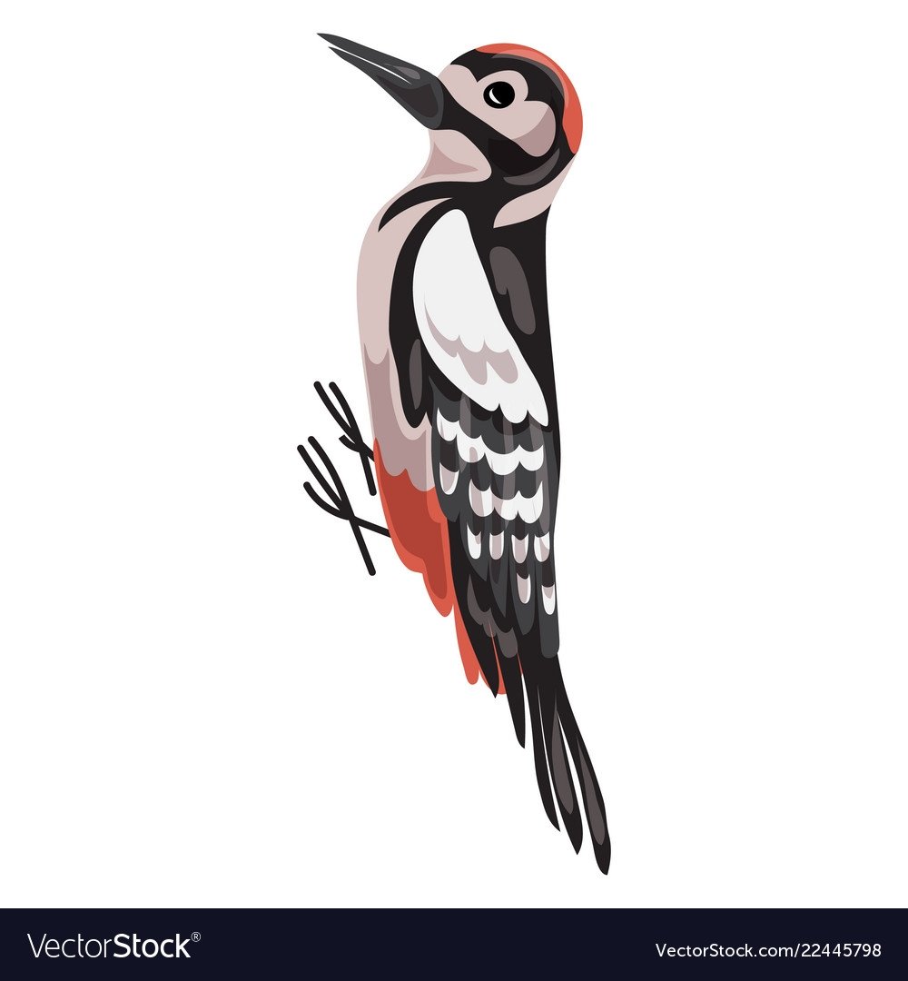 Дятел мультяшный