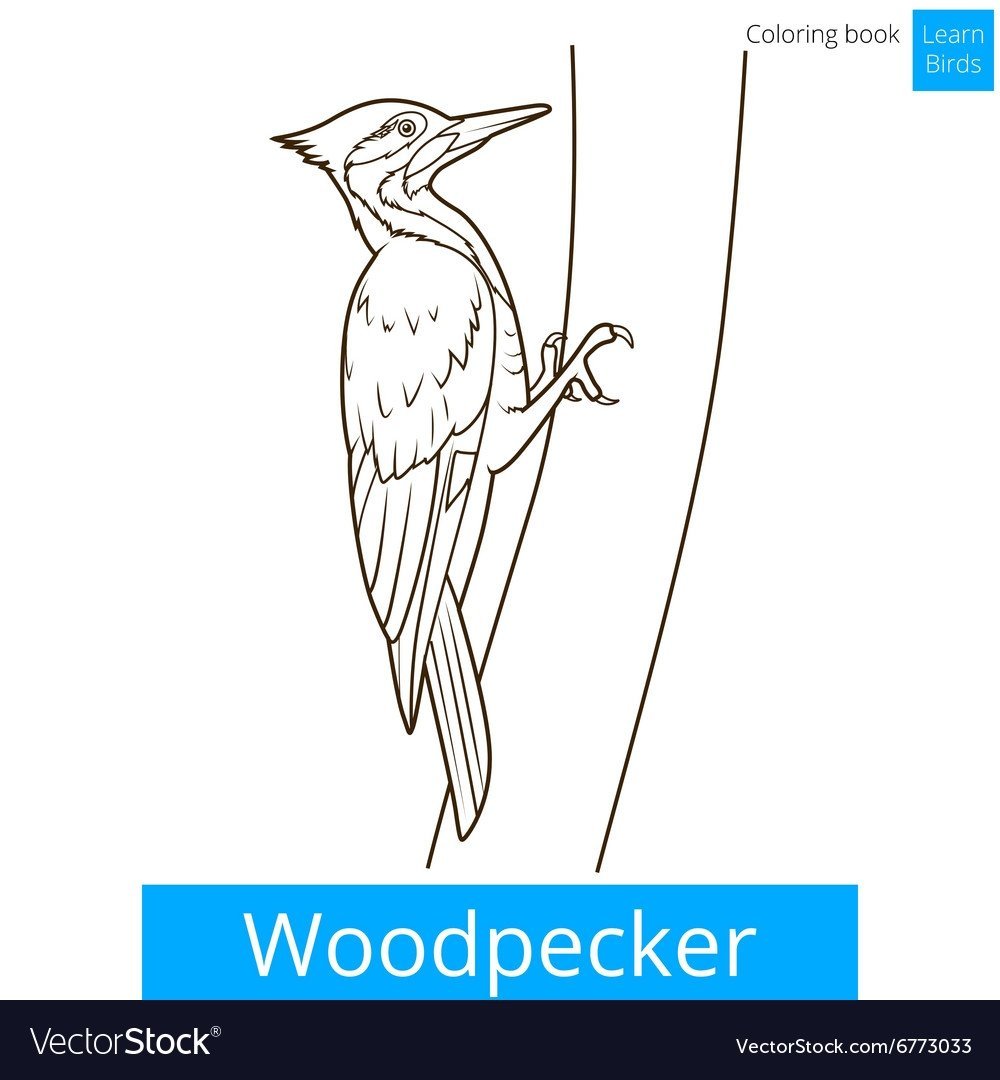 Дятел живопись