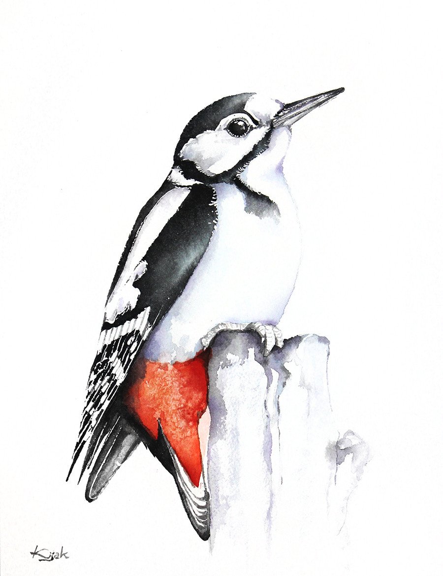 Дятел для детей на прозрачном фоне