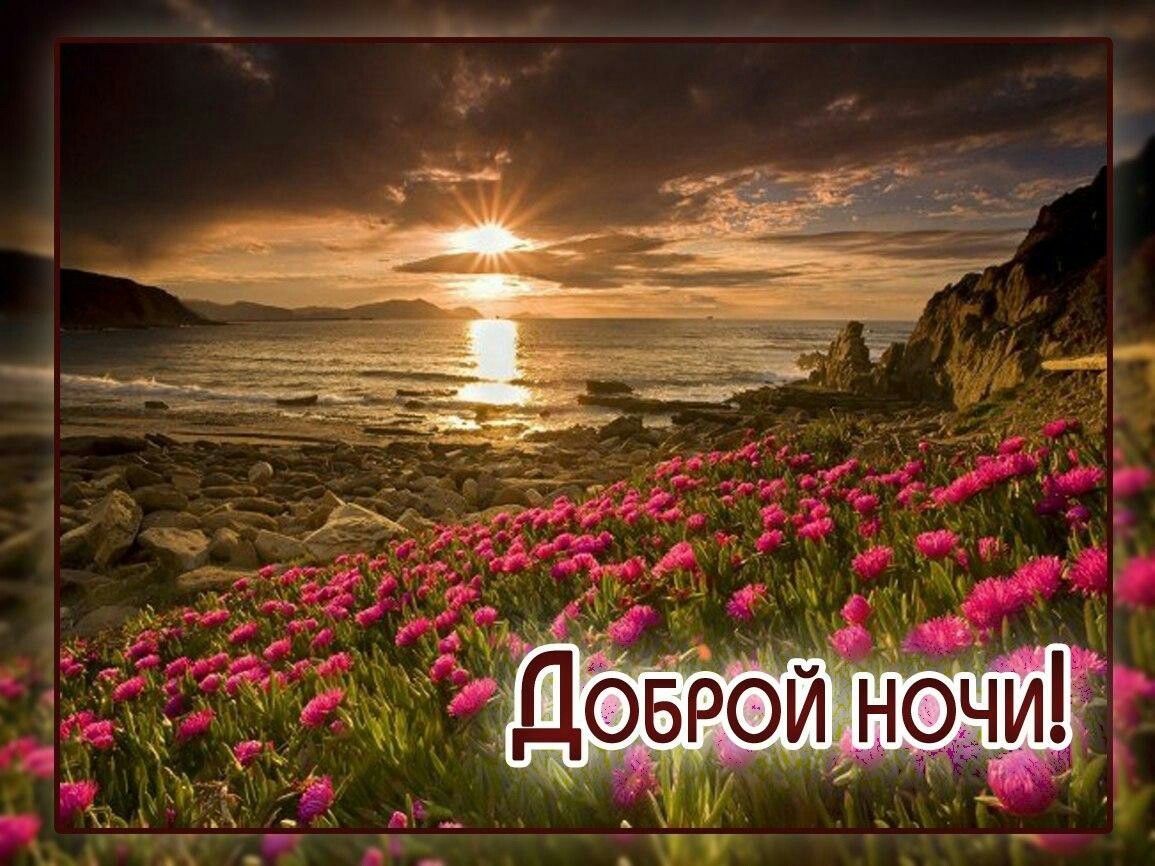 Цветочное поле