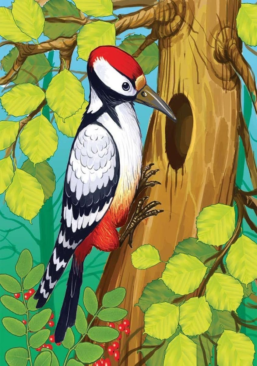 Дятел рисунок для детей