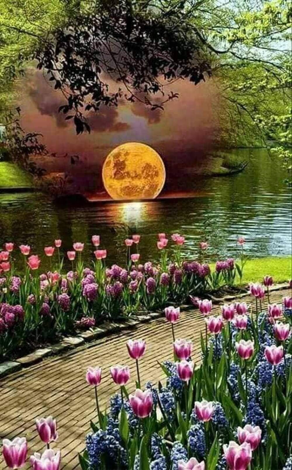 Цветы лотоса спокойной ночи