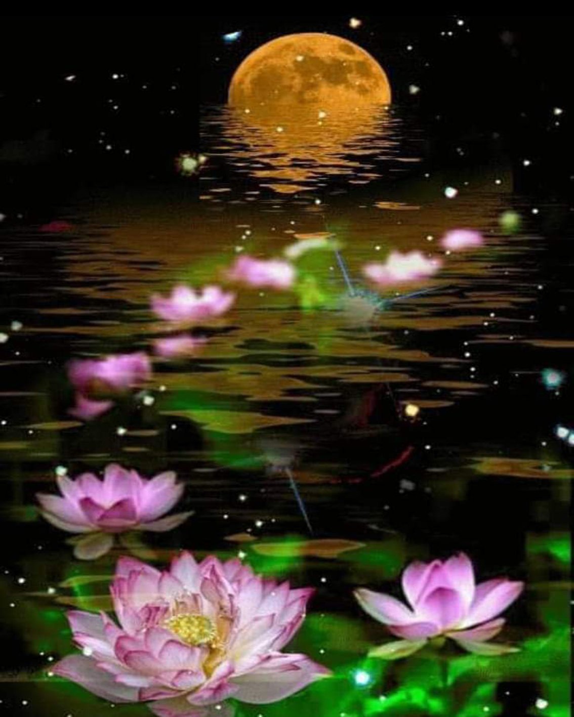 Цветы ночью