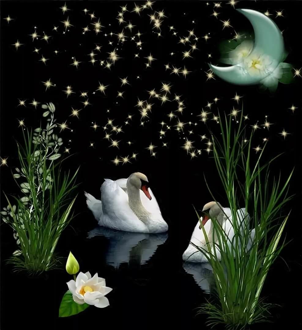 Цветы на фоне заката