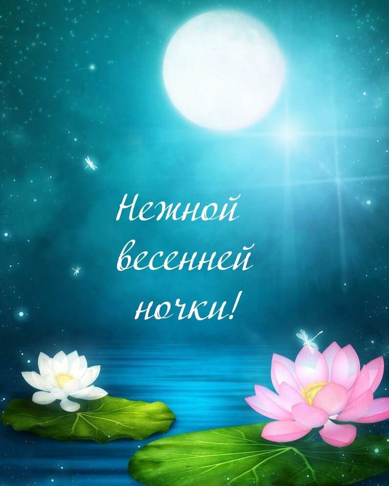 Ночь весной