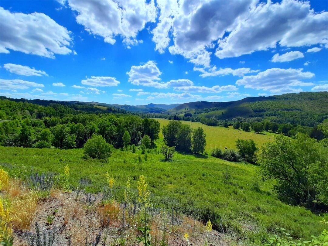 Картинки Башкортостан мой край родной