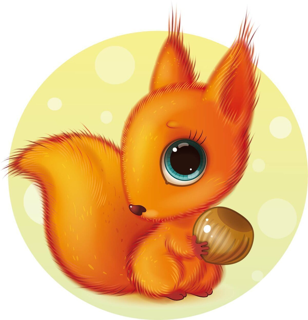 Белочка на прозрачном фоне